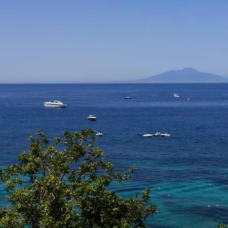 Blue View *